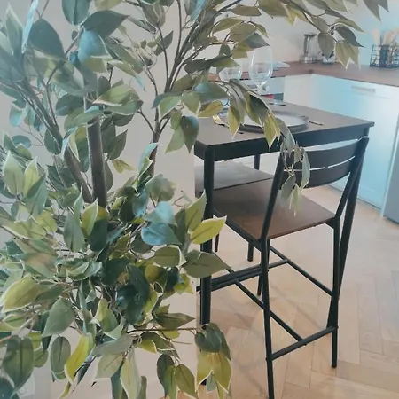 Apartment • La Brique Rose - Apt 2p - Place Jeanne D'arc Toulouse