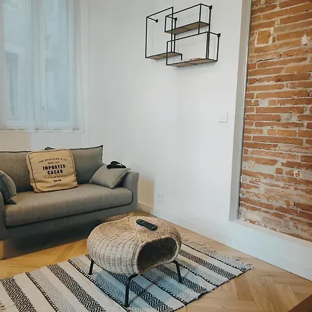 • La Brique Rose - Apt 2p - Place Jeanne D'arc Apartment Toulouse